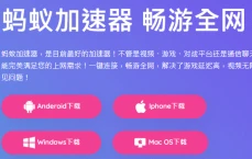 蚂蚁 免费 加速器 - 专业免费版 永久使用